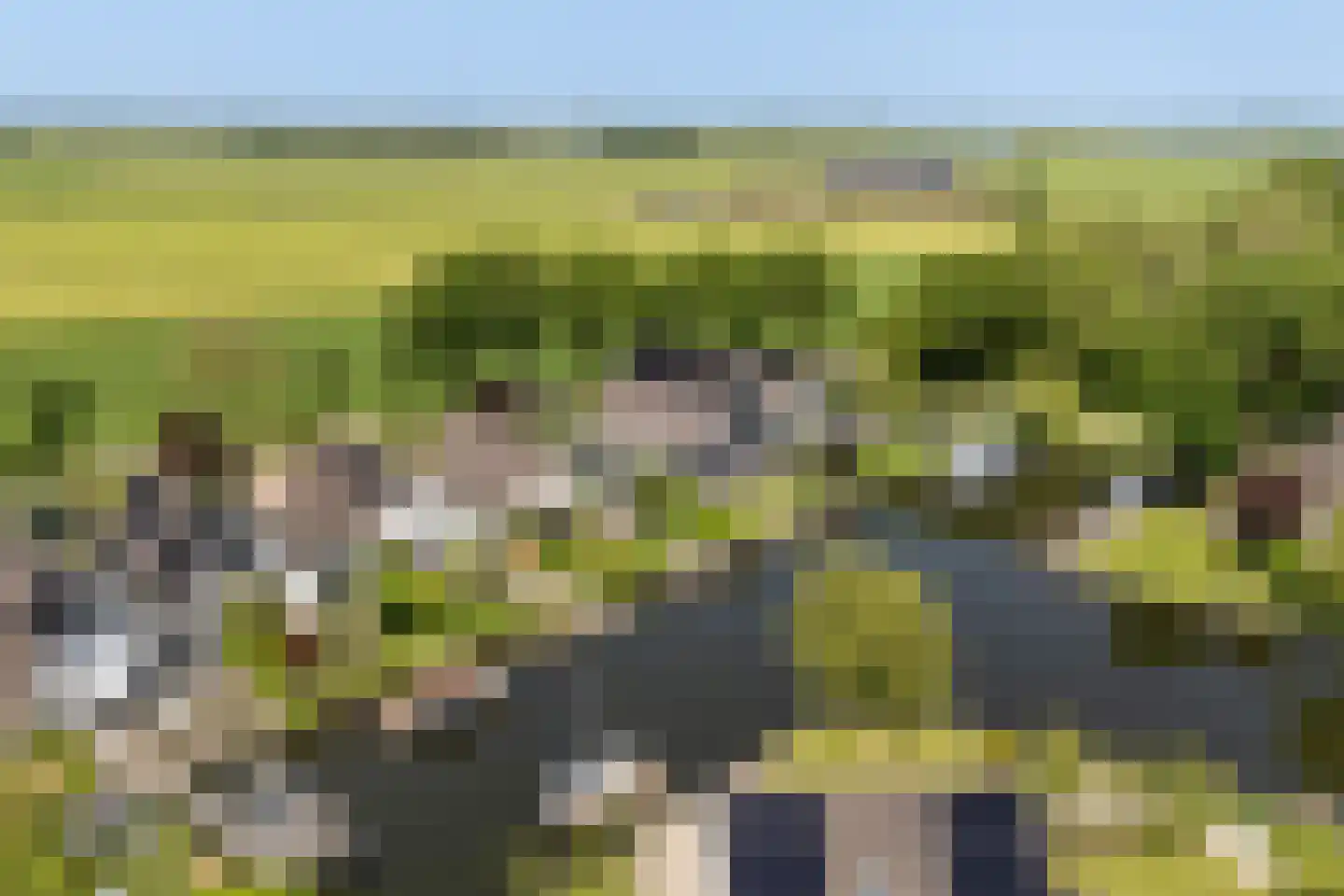 Eastwei 42 Uitwellingerga thumbnail 77