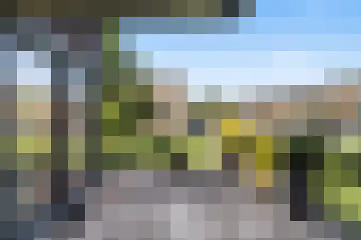 Eb 11 Dordrecht thumbnail 22