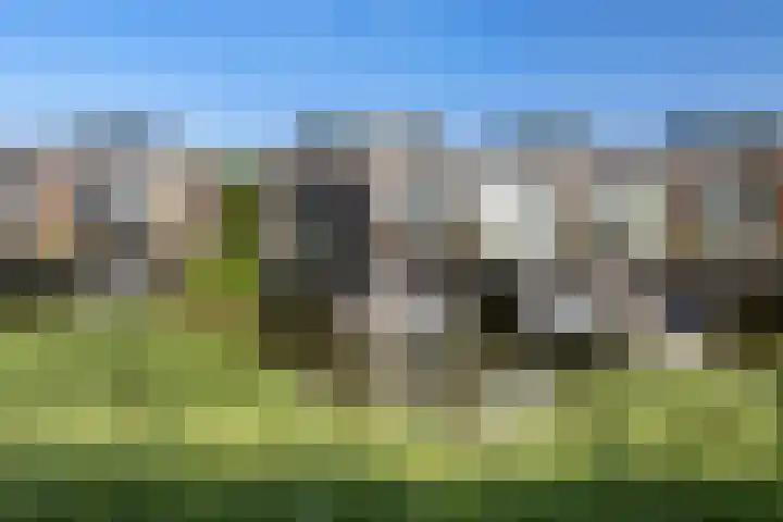 Eb 11 Dordrecht thumbnail 23