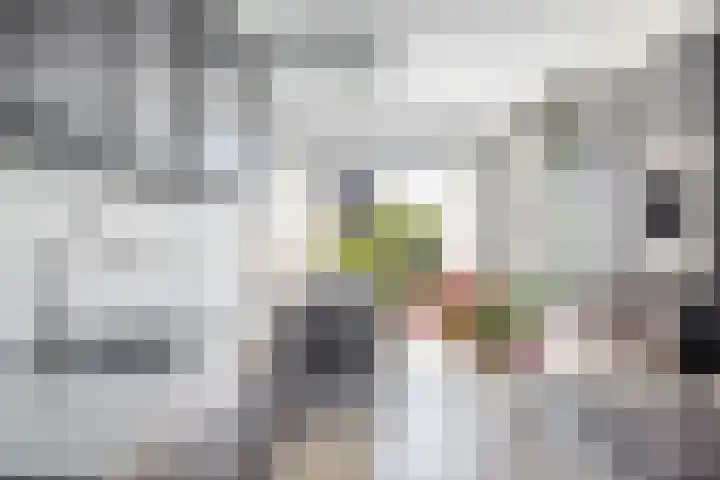 Eb 11 Dordrecht thumbnail 4
