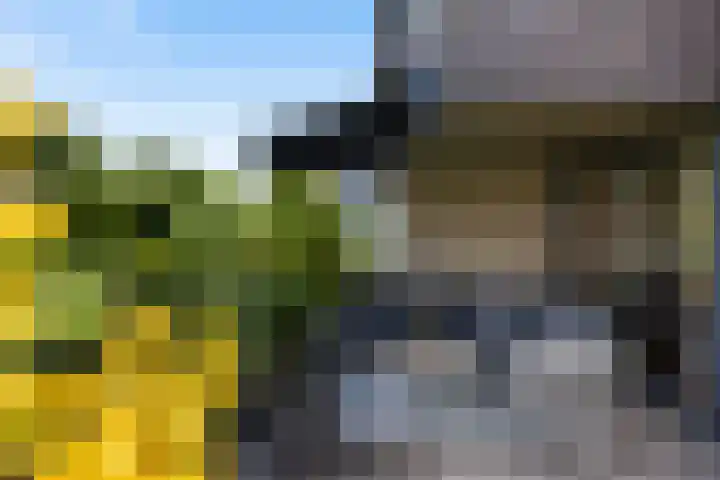 Eb 11 Dordrecht thumbnail 5