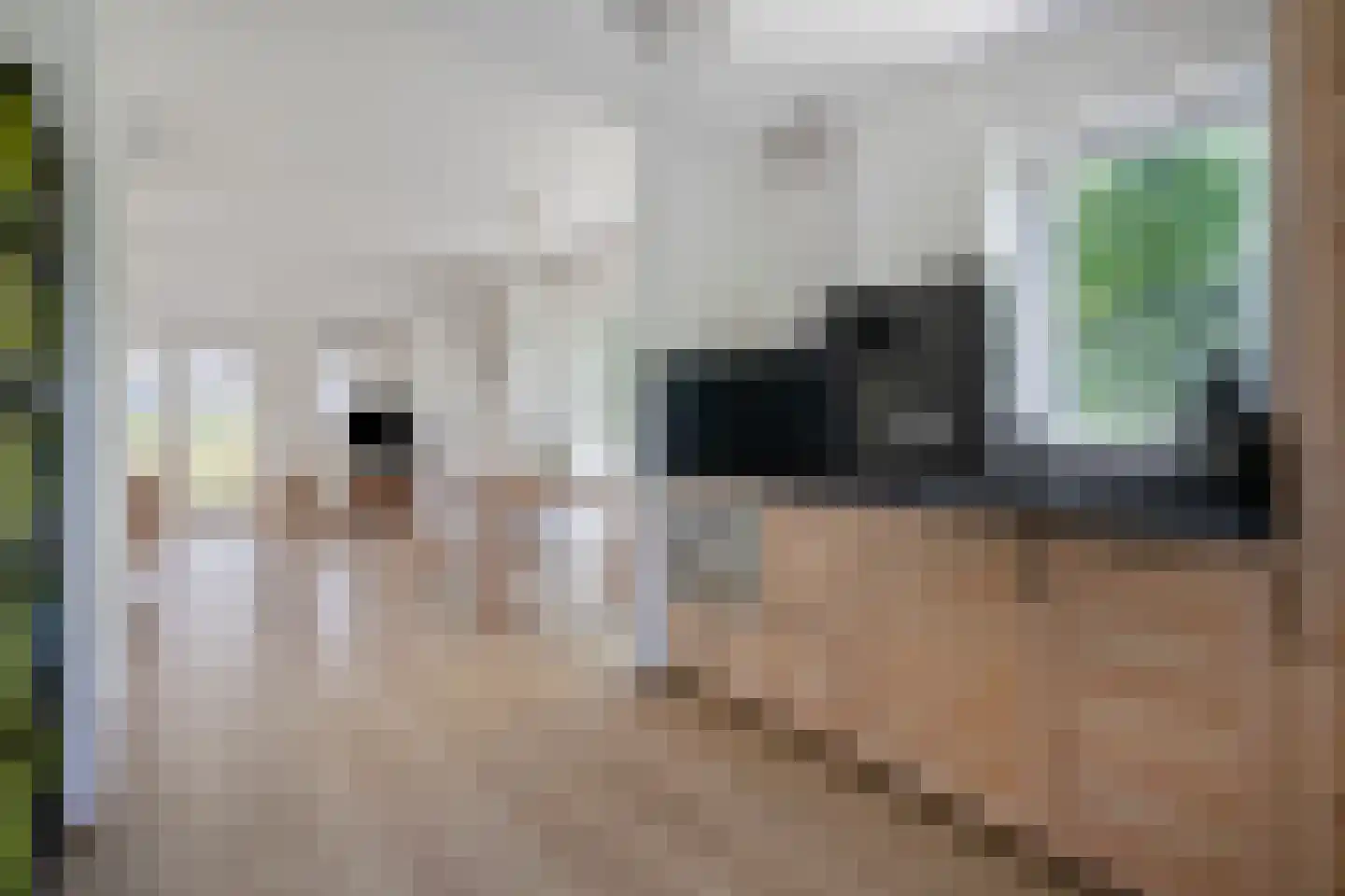 Eb en Vloed 20 b Kamperland thumbnail 18