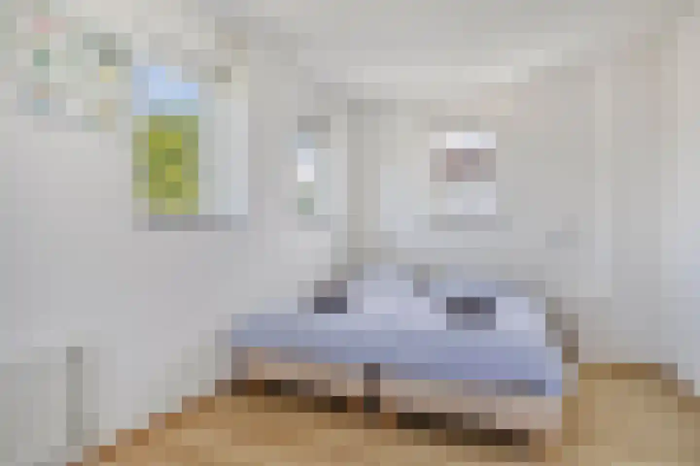 Eb en Vloed 20 b Kamperland thumbnail 26
