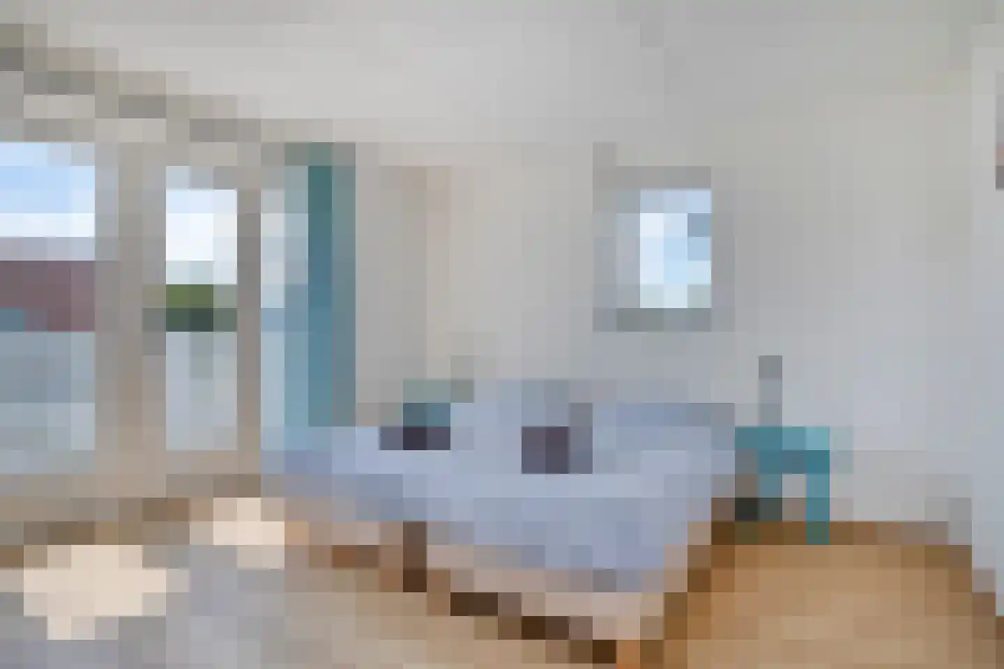 Eb en Vloed 20 b Kamperland thumbnail 32