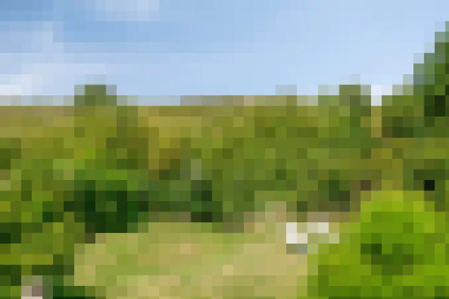 Eb en Vloed 20 b Kamperland thumbnail 37
