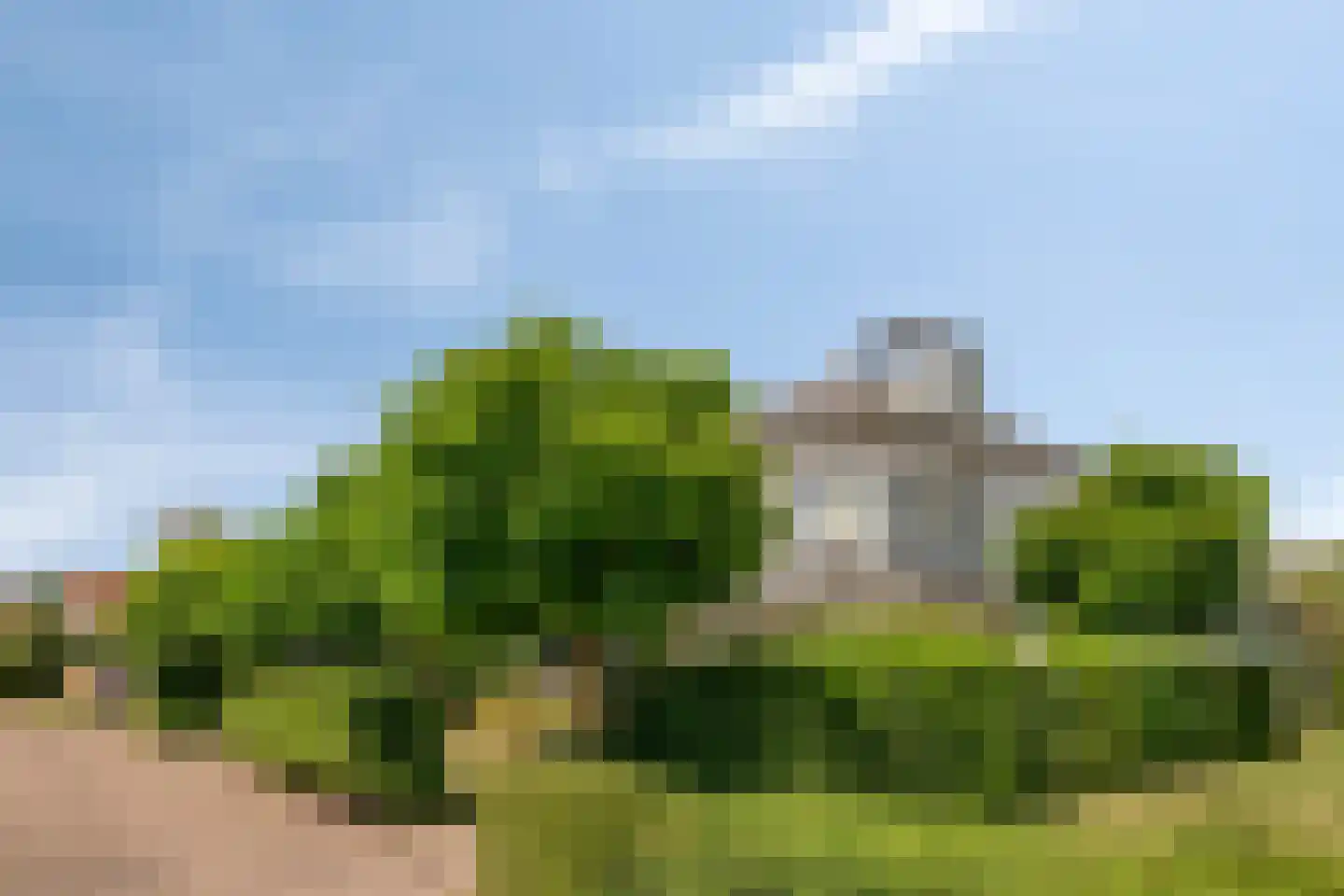 Eb en Vloed 20 b Kamperland thumbnail 4