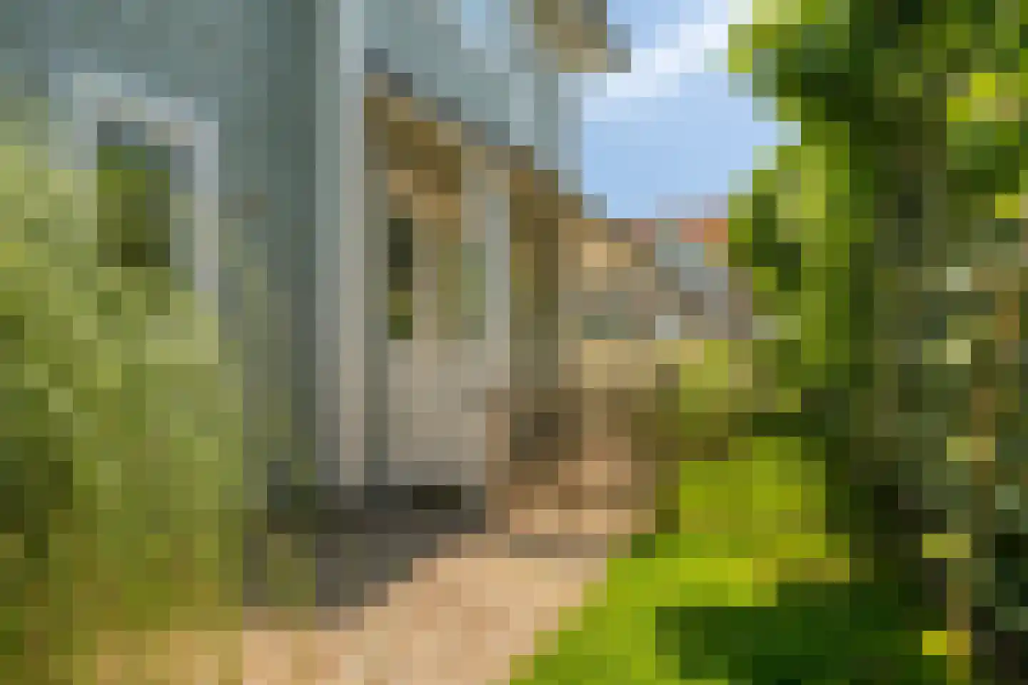 Eb en Vloed 20 b Kamperland thumbnail 41