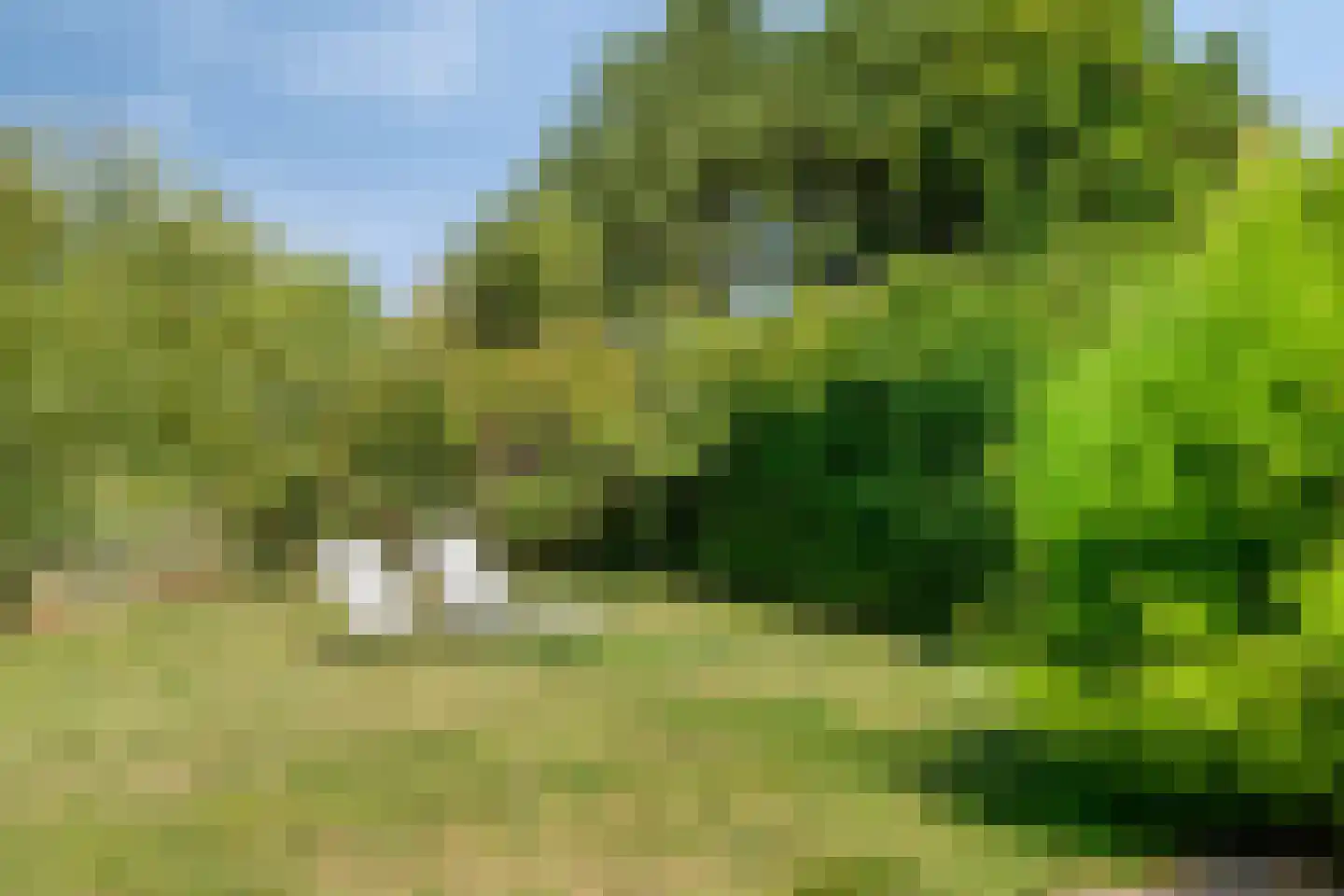 Eb en Vloed 20 b Kamperland thumbnail 42