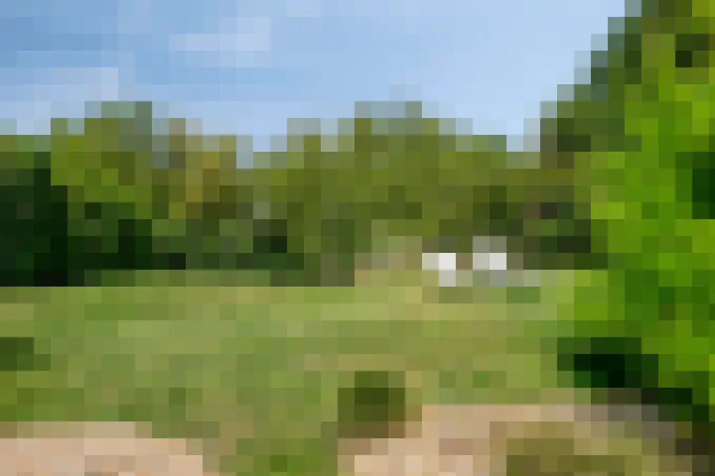 Eb en Vloed 20 b Kamperland thumbnail 43