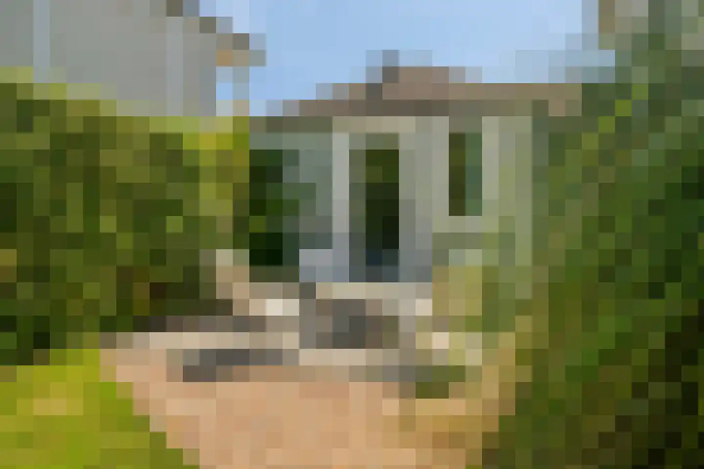 Eb en Vloed 20 b Kamperland thumbnail 45