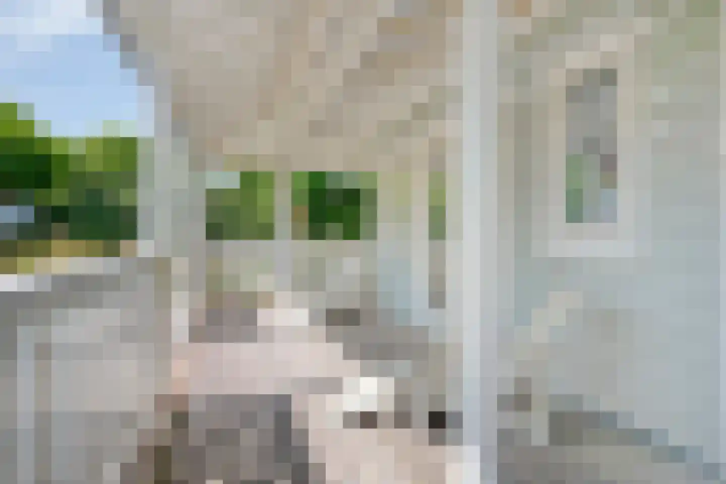 Eb en Vloed 20 b Kamperland thumbnail 49