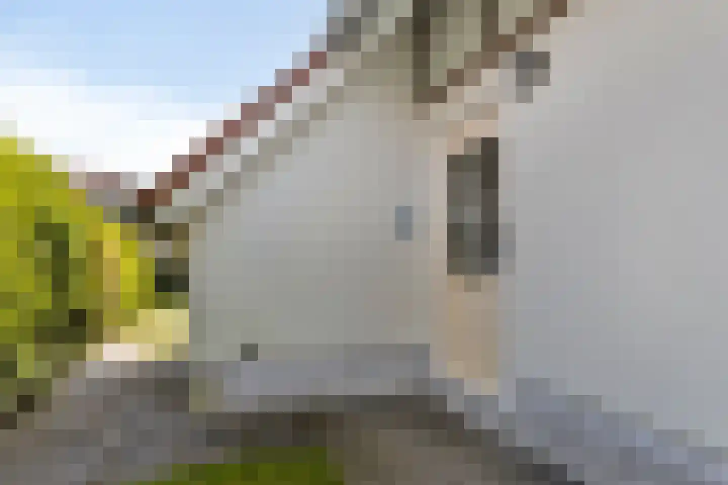 Eb en Vloed 30 Domburg thumbnail 5