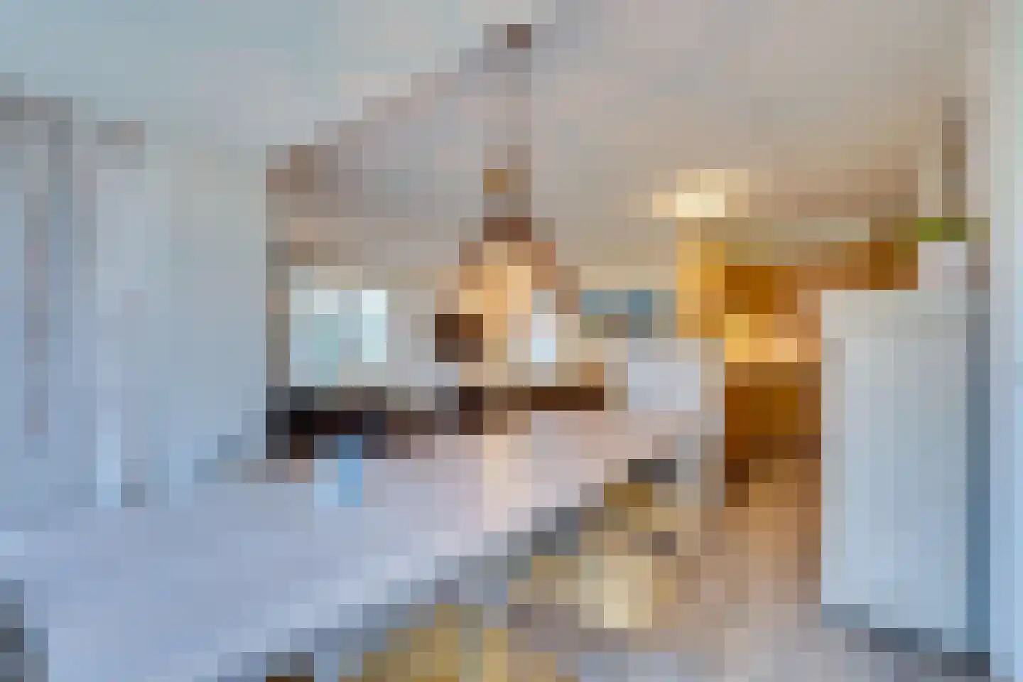 Eb en Vloed 44 Kamperland thumbnail 18