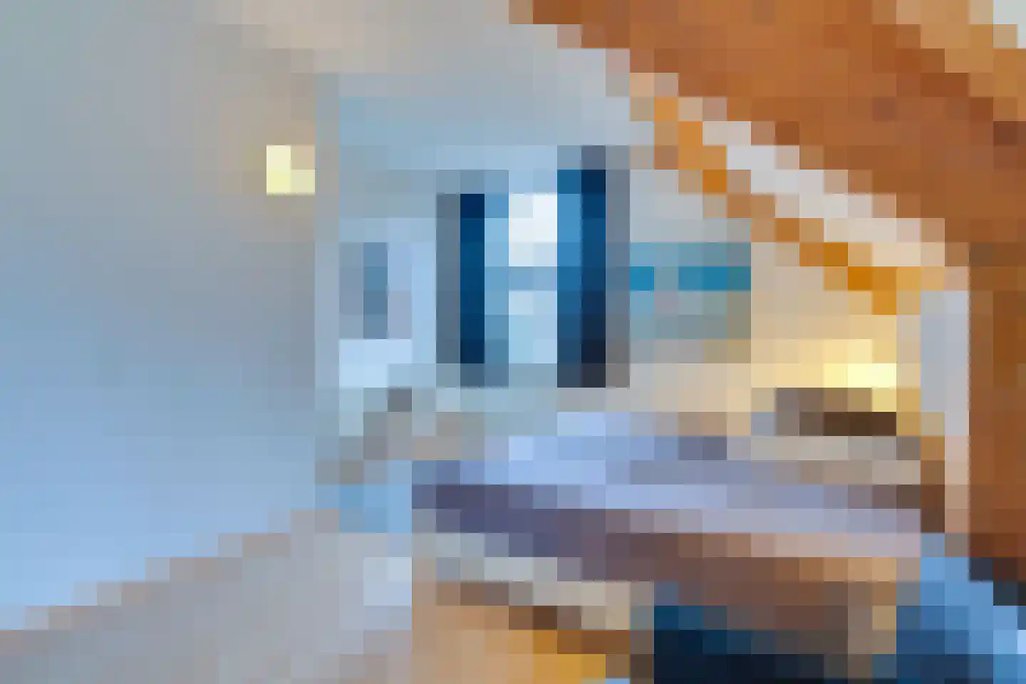 Eb en Vloed 44 Kamperland thumbnail 32