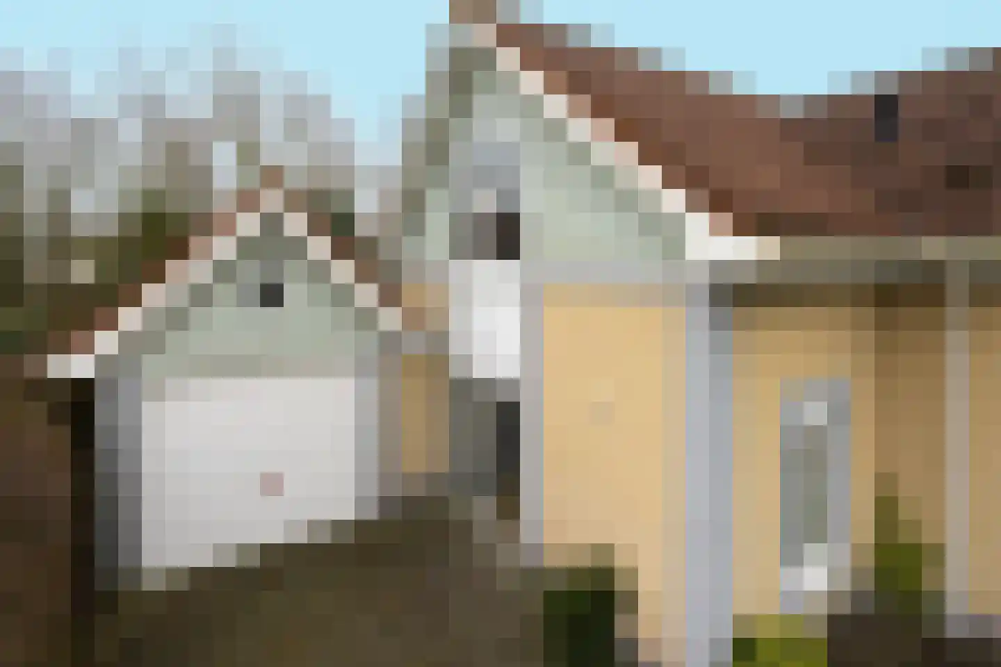Eb en Vloed 44 Kamperland thumbnail 5