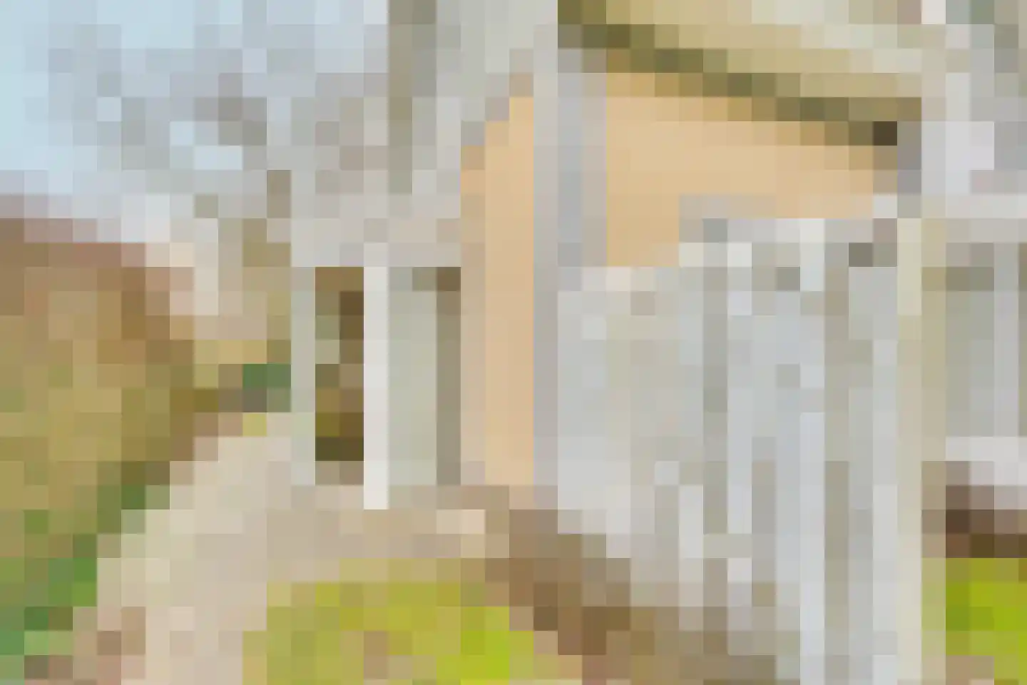 Eb en Vloed 44 Kamperland thumbnail 53
