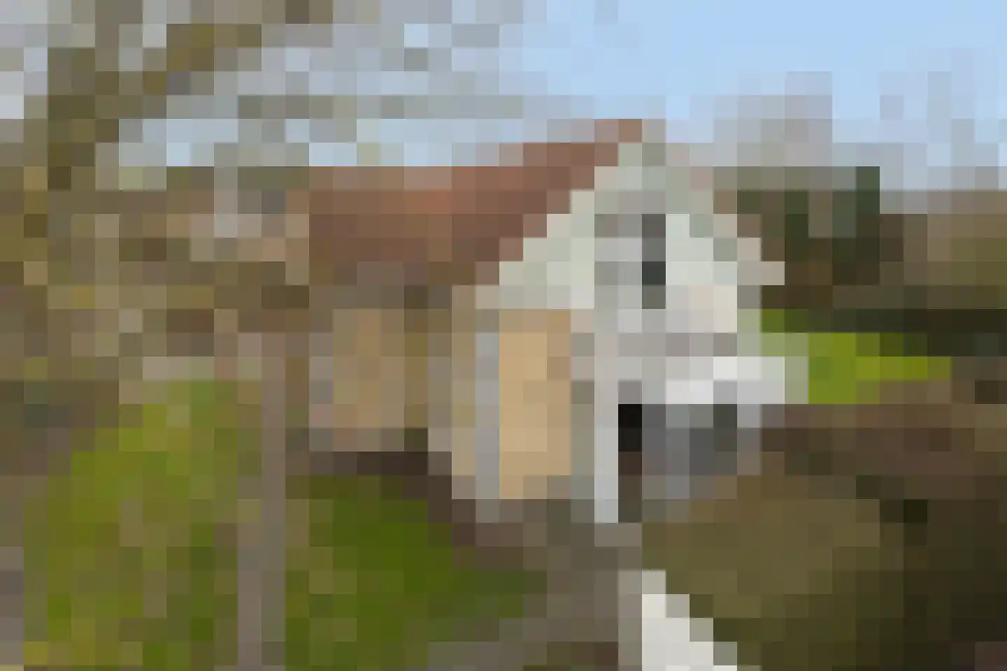 Eb en Vloed 44 Kamperland thumbnail 58