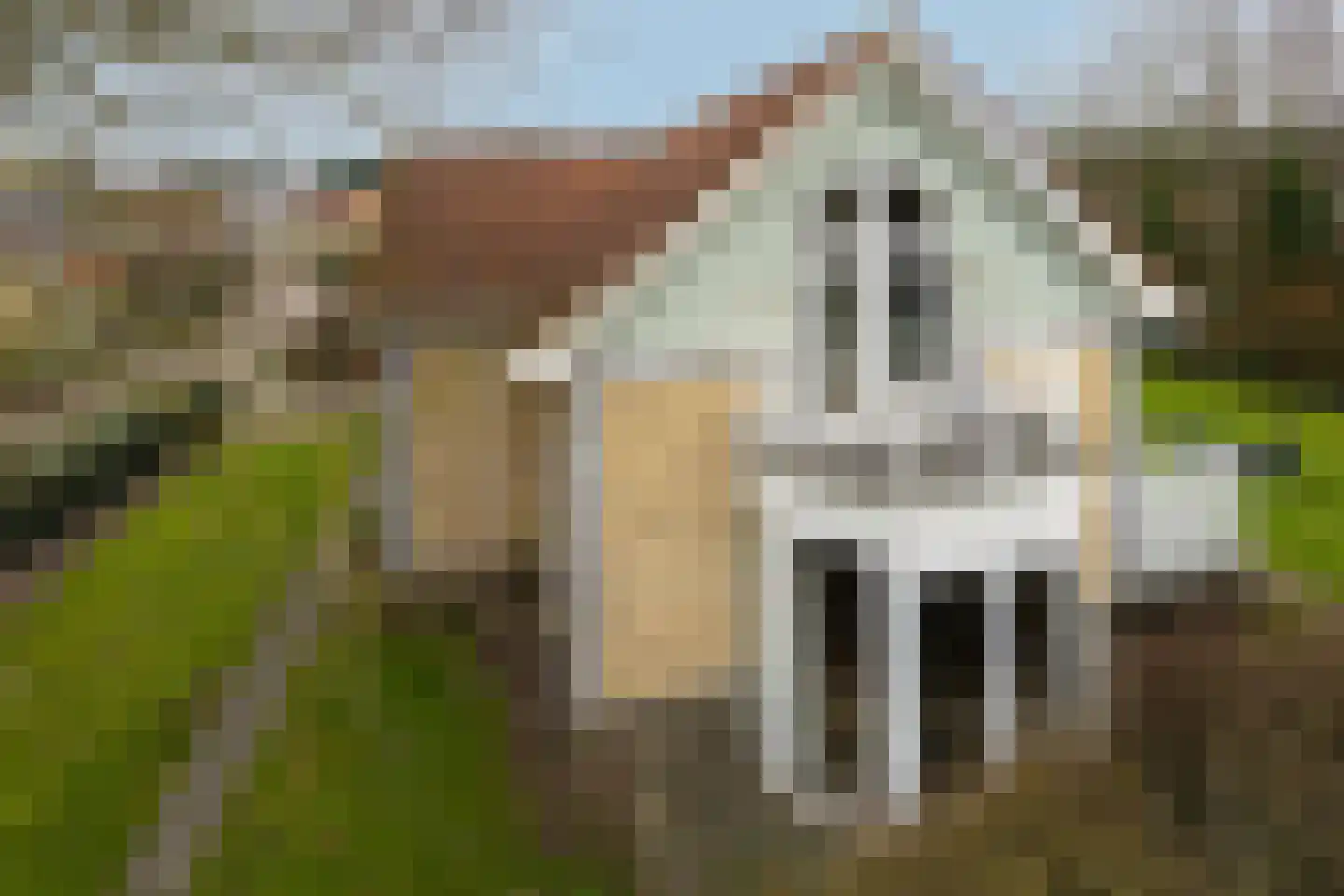 Eb en Vloed 44 Kamperland thumbnail 59