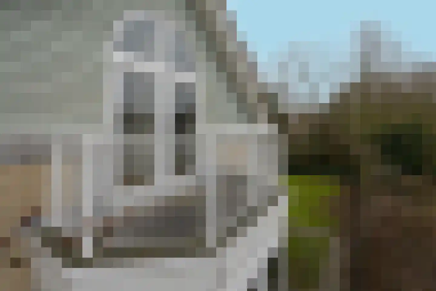 Eb en Vloed 44 Kamperland thumbnail 60
