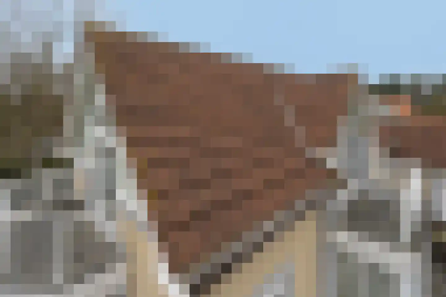 Eb en Vloed 44 Kamperland thumbnail 61