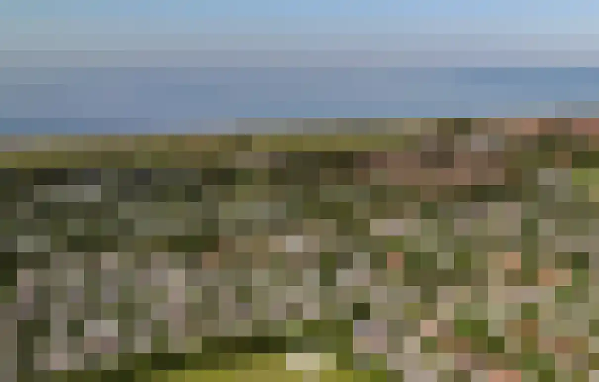 Eb en Vloed 52 Domburg thumbnail 27