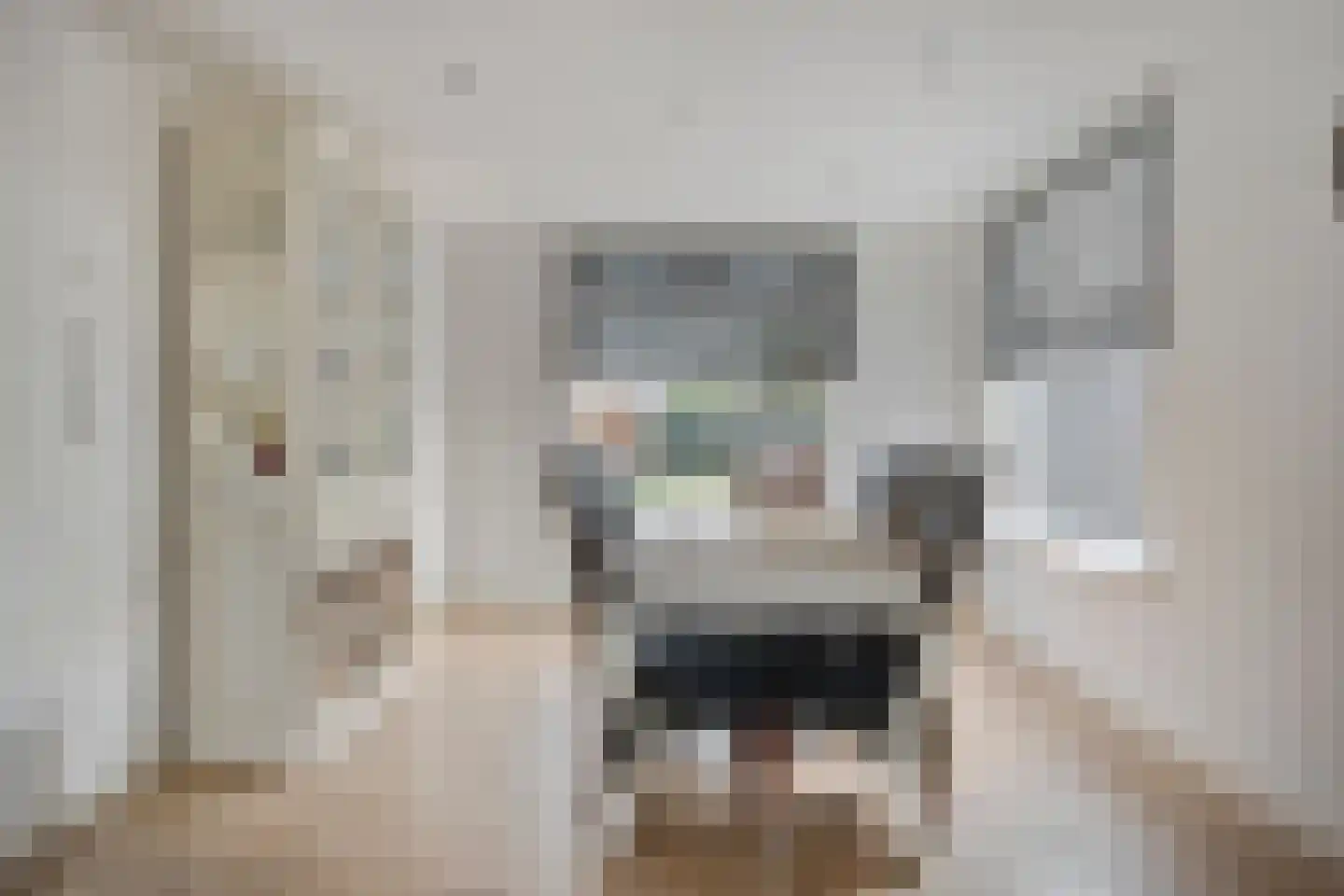 Eb en Vloedstraat 1 Scharendijke thumbnail 13