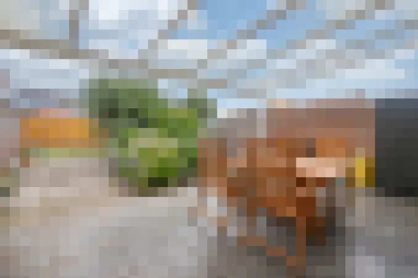 Ebadstraat 6 Beek thumbnail 20