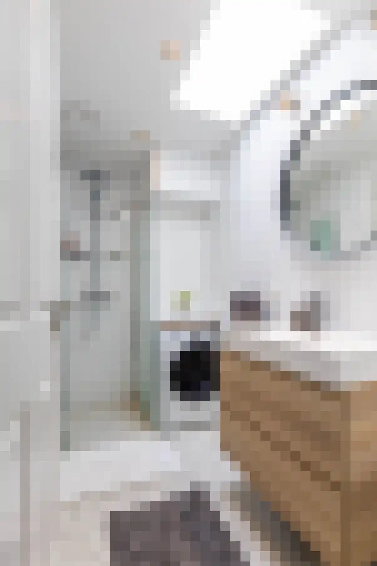 Ebalstraat 3 C Rotterdam thumbnail 20