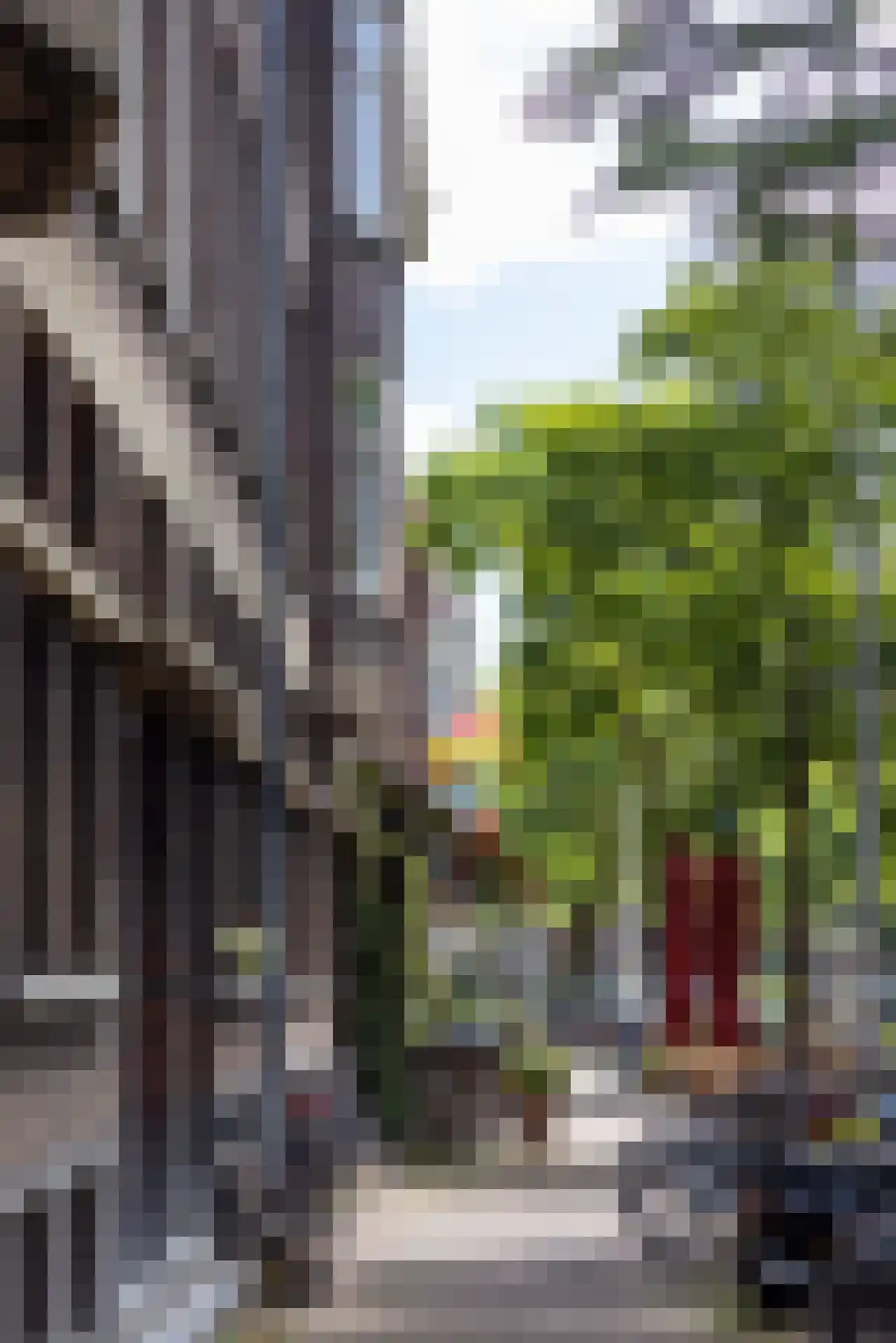 Ebalstraat 3 C Rotterdam thumbnail 22
