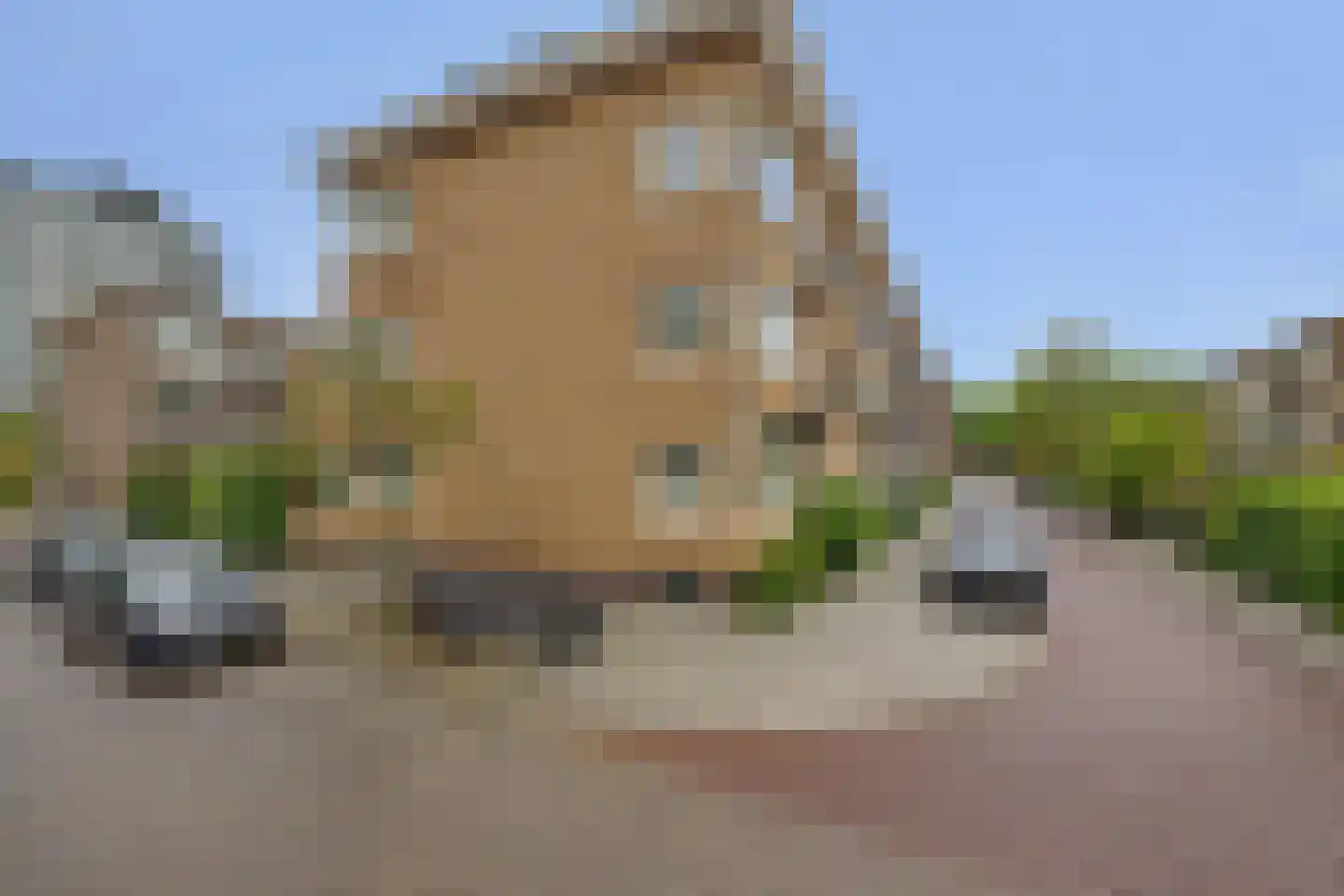 Ebalstraat 4 A Rotterdam thumbnail 18