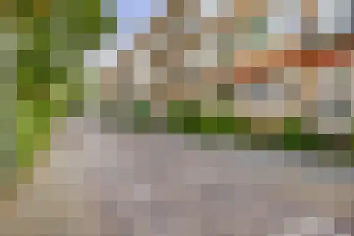 Ebalstraat 6 A Rotterdam thumbnail 7