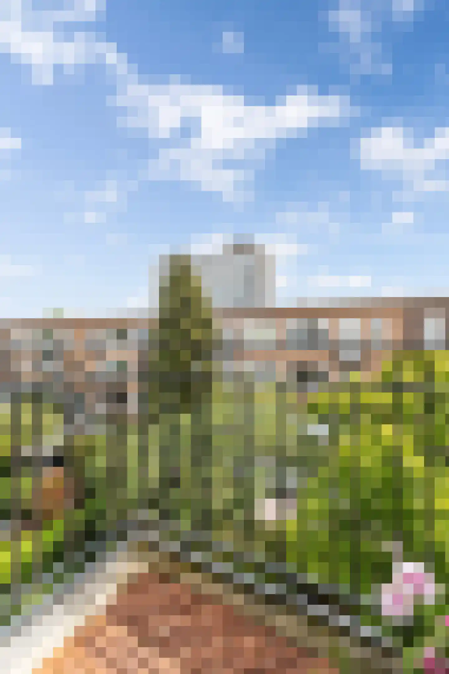 Ebalstraat 8 A Rotterdam thumbnail 17