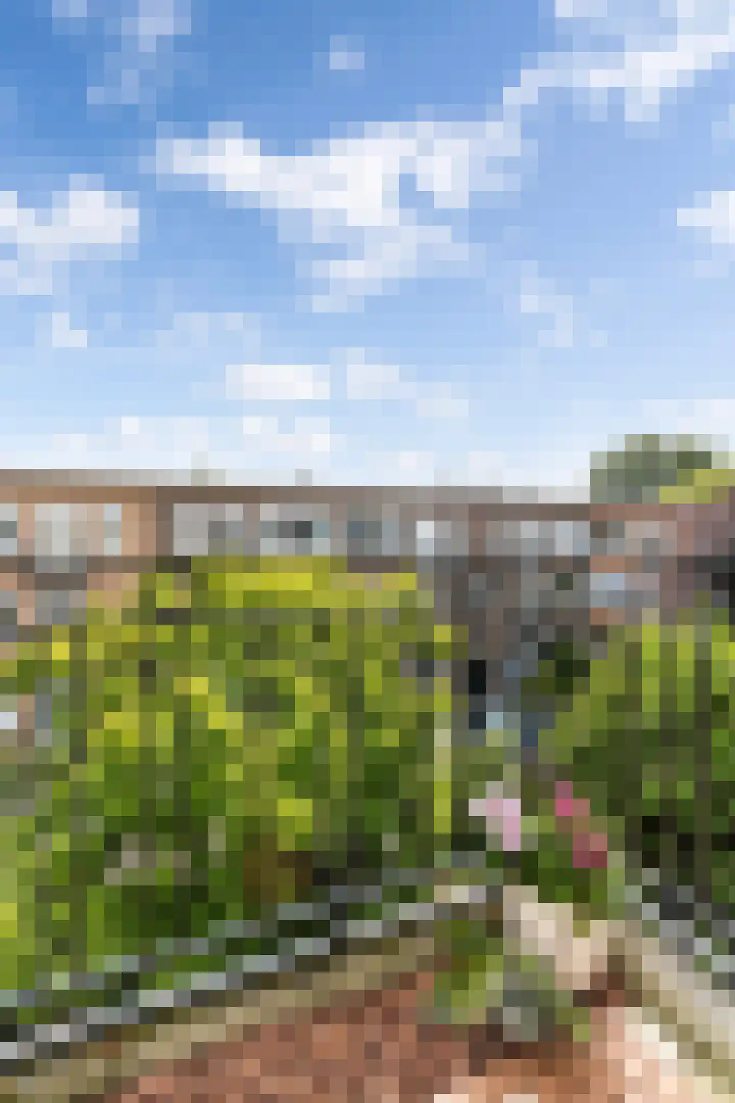 Ebalstraat 8 A Rotterdam thumbnail 25