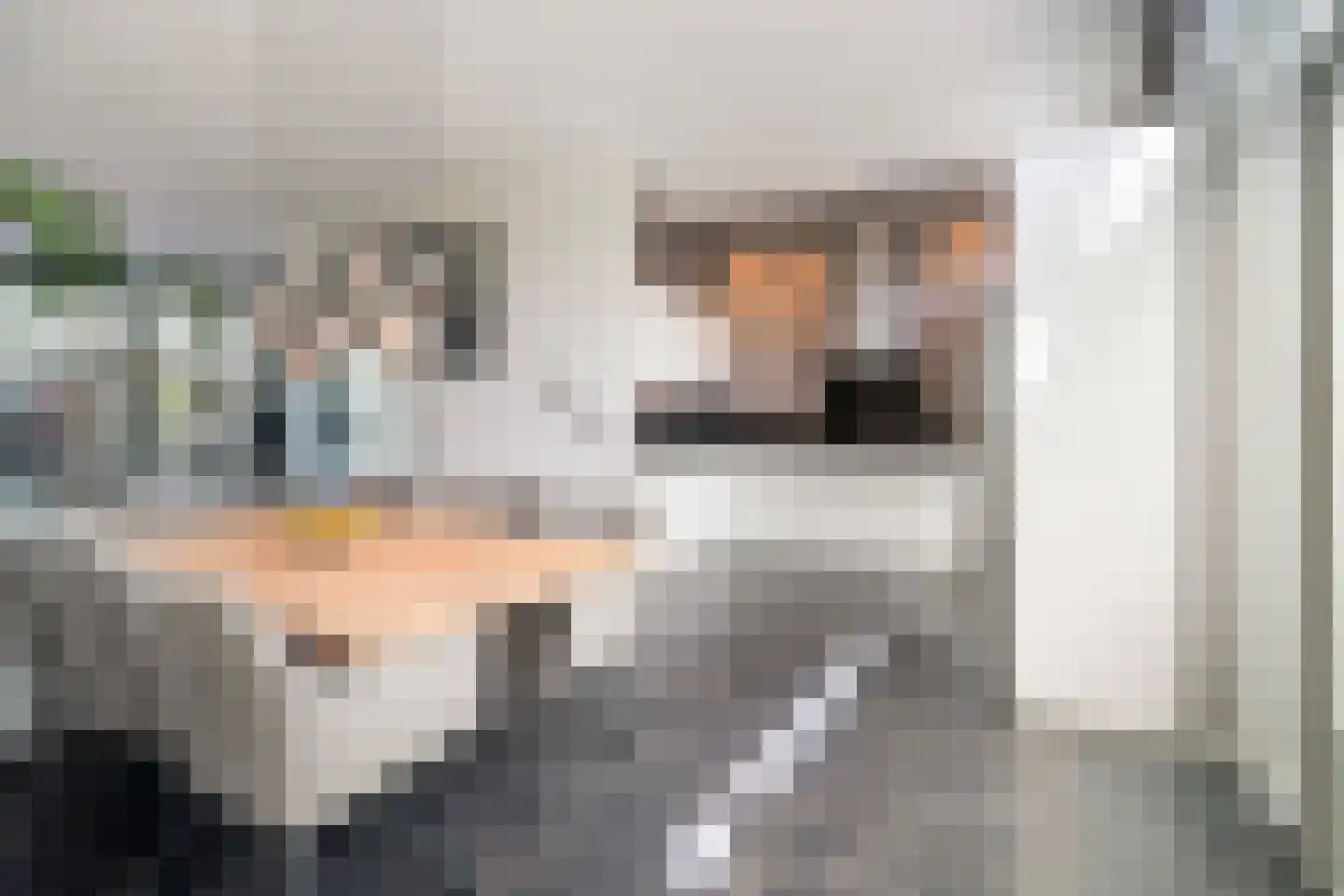 Ebbehout 29 Zoetermeer thumbnail 18