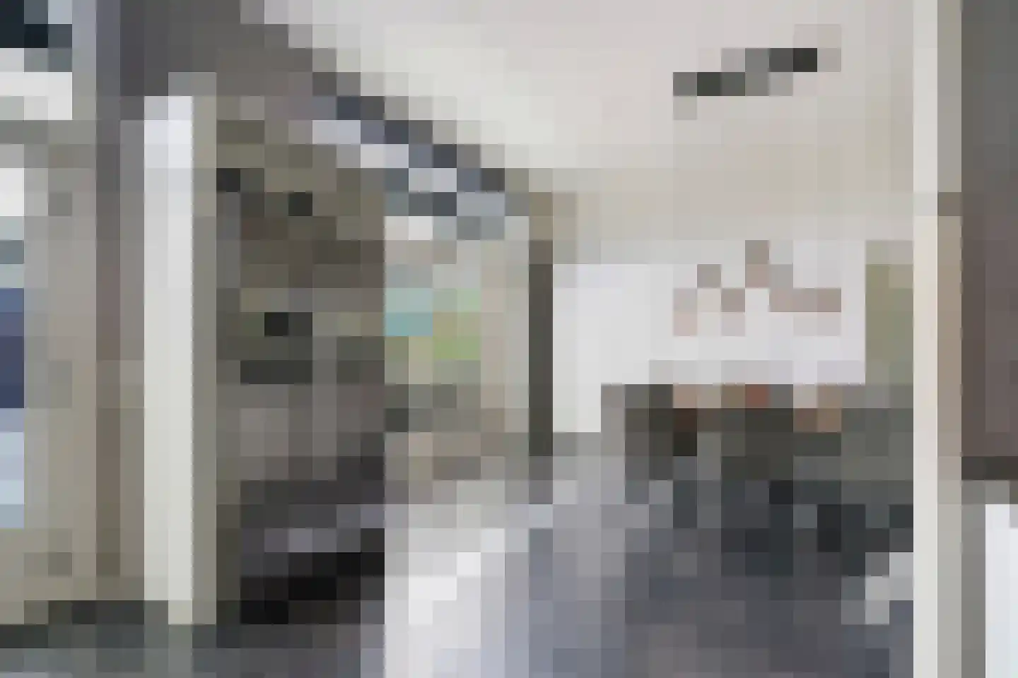 Ebbehout 29 Zoetermeer thumbnail 23