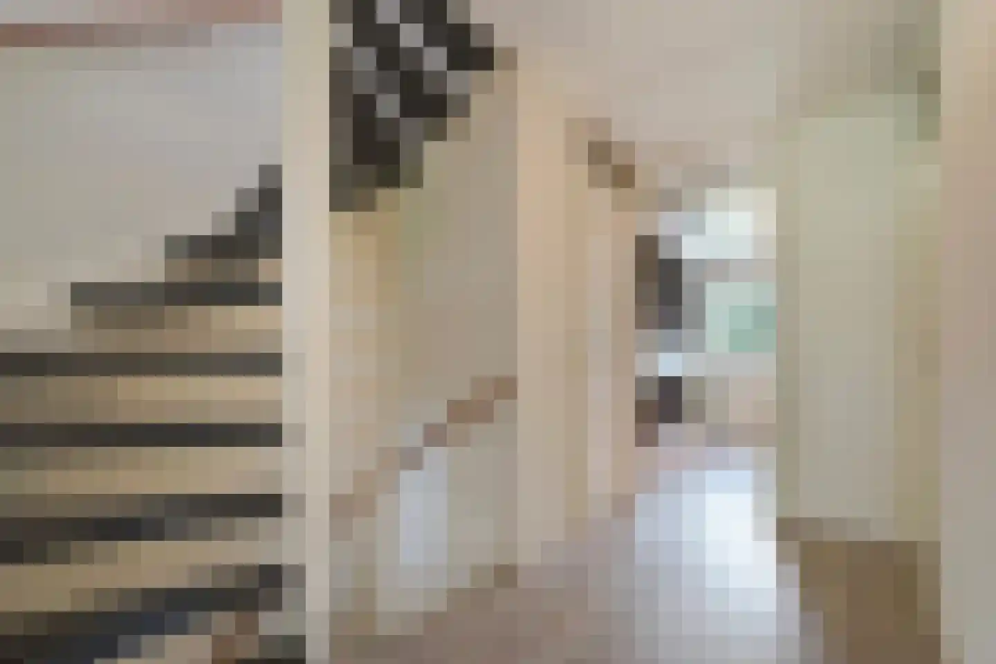 Ebbehout 29 Zoetermeer thumbnail 31