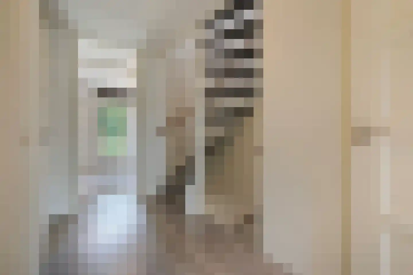 Ebbehout 29 Zoetermeer thumbnail 32