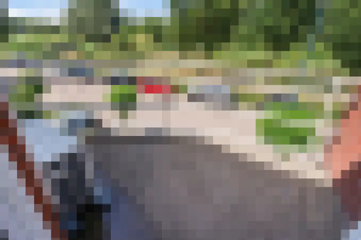 Ebbehout 29 Zoetermeer thumbnail 38