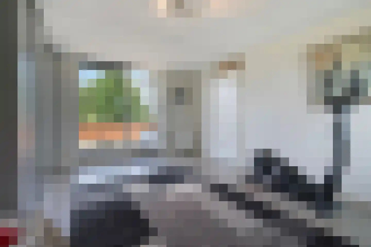 Ebbehout 29 Zoetermeer thumbnail 48