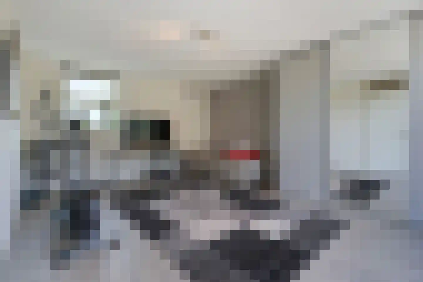 Ebbehout 29 Zoetermeer thumbnail 49