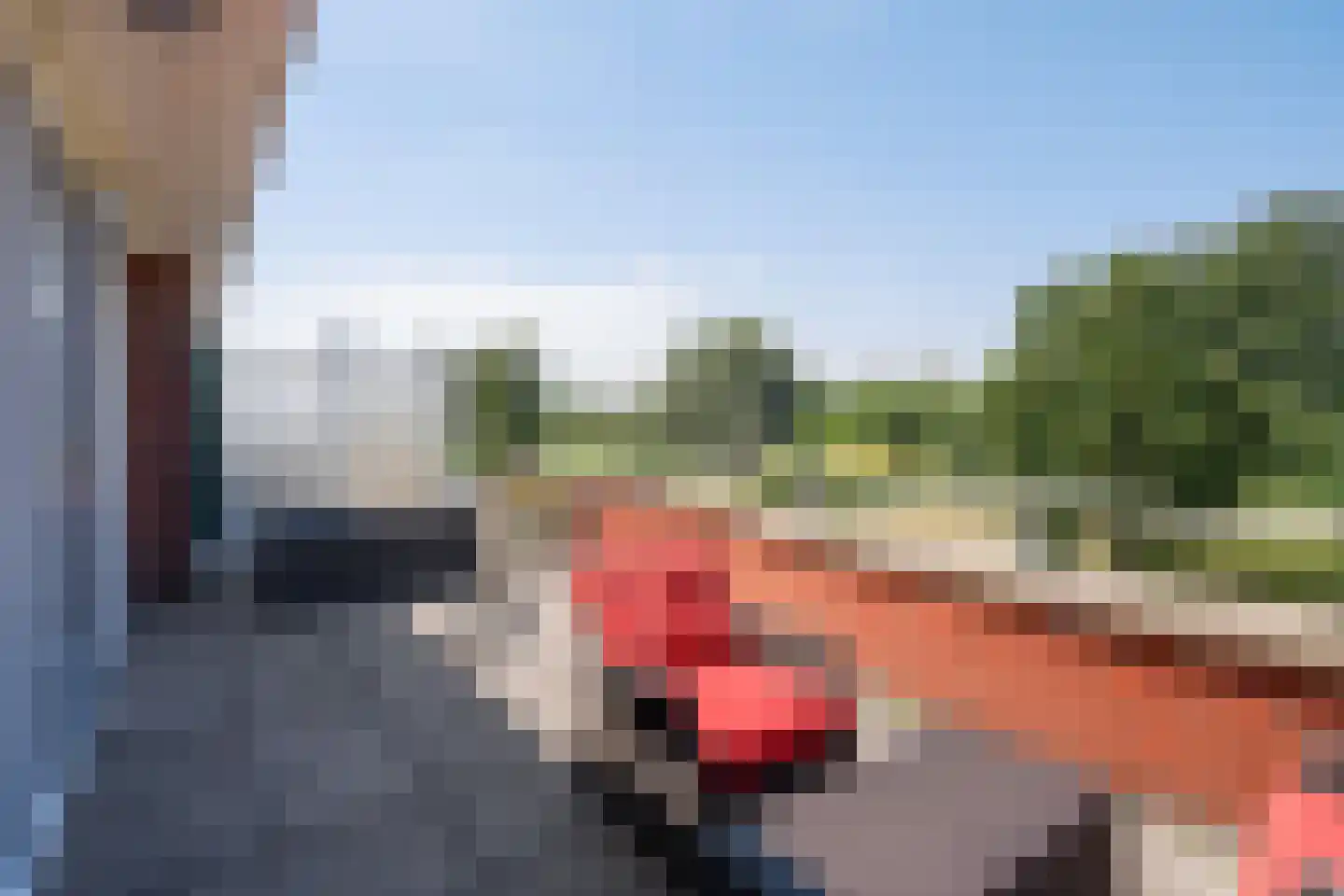 Ebbehout 29 Zoetermeer thumbnail 51