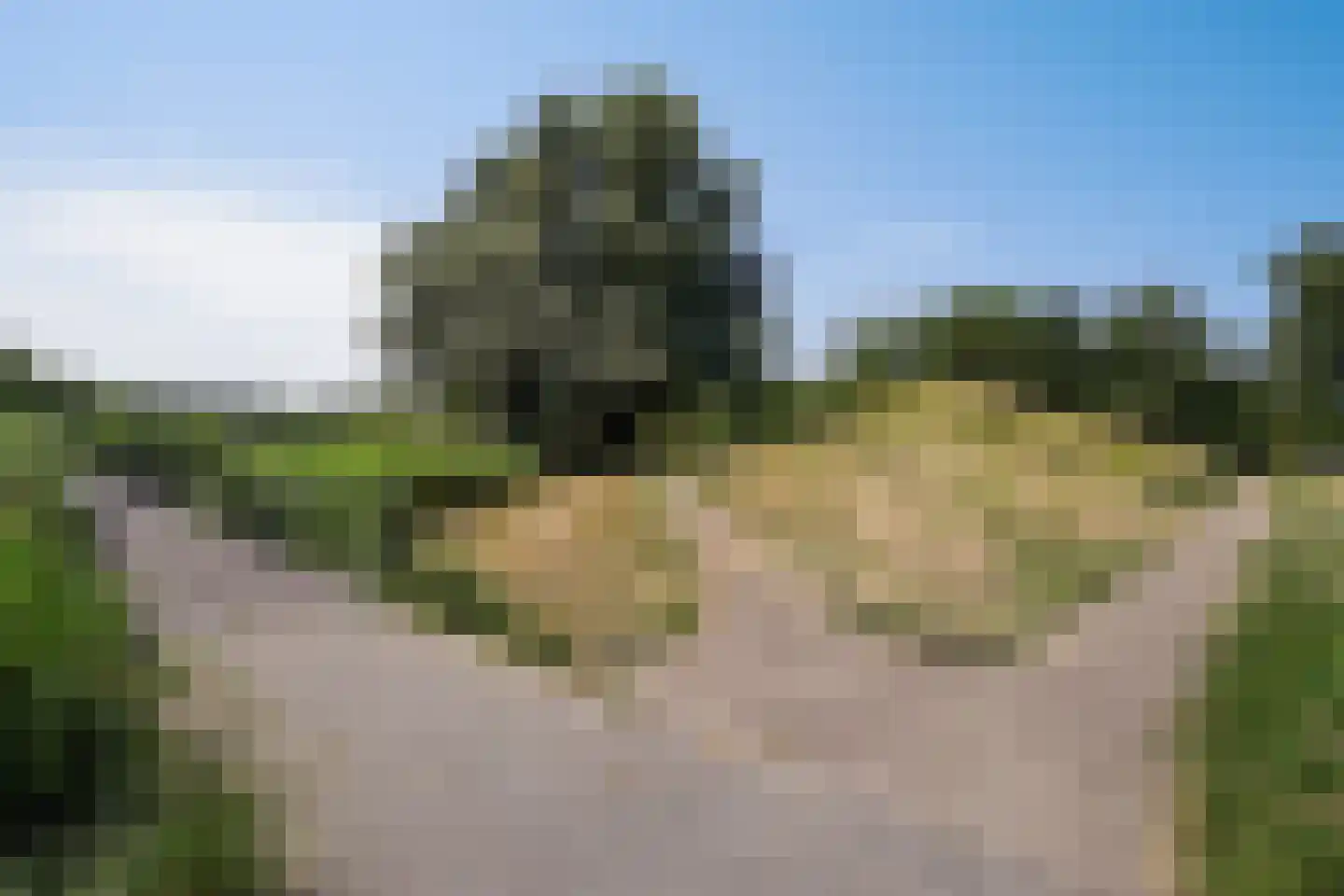 Ebbehout 29 Zoetermeer thumbnail 58