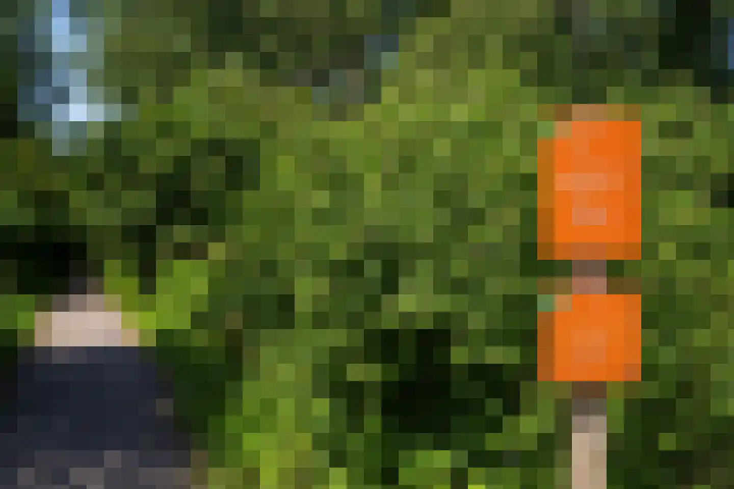 Ebbehout 29 Zoetermeer thumbnail 60