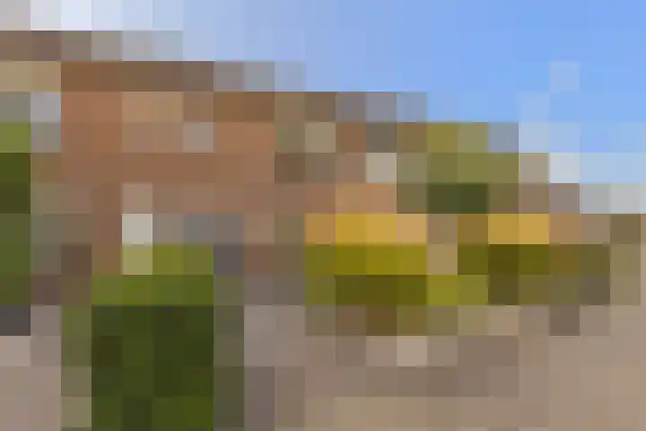 Ebbenberg 12 Roosendaal thumbnail 49