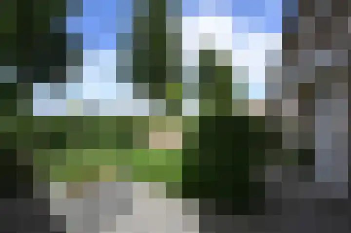 Ebbenberg 29 Roosendaal thumbnail 4