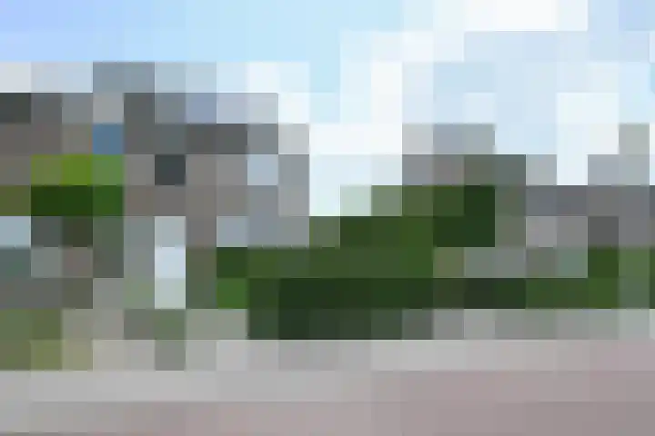 Ebbenberg 29 Roosendaal thumbnail 6