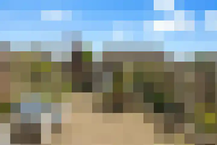 Ebbenberg 9 Roosendaal thumbnail 33