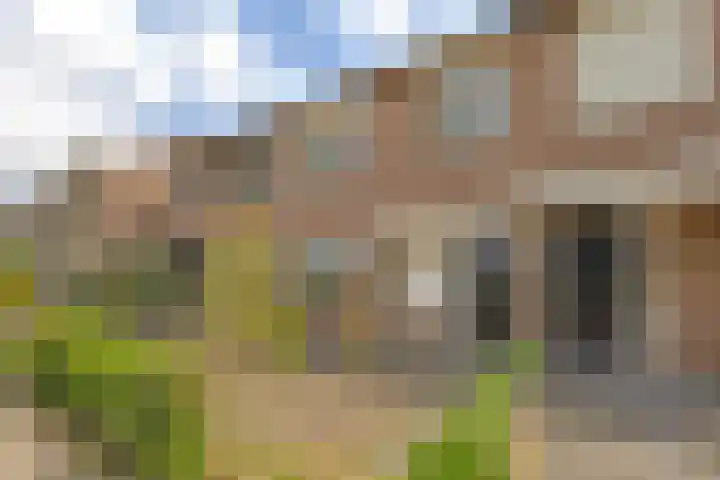 Ebbenberg 9 Roosendaal thumbnail 38