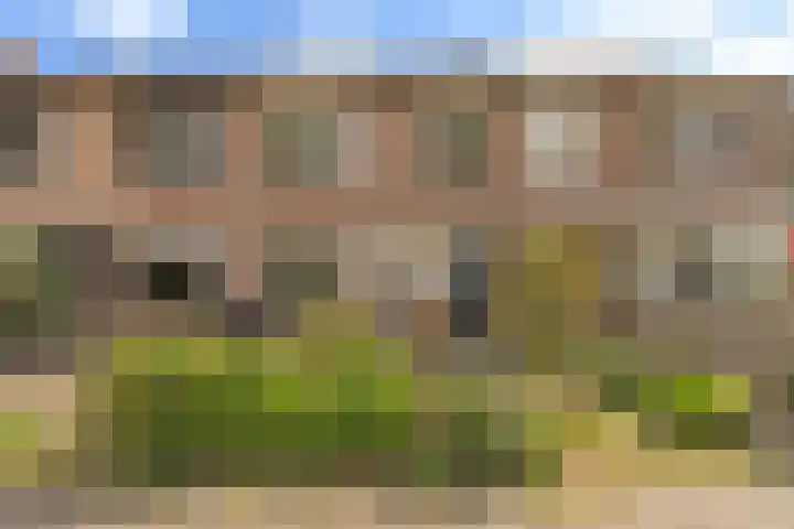 Ebbenberg 9 Roosendaal thumbnail 67