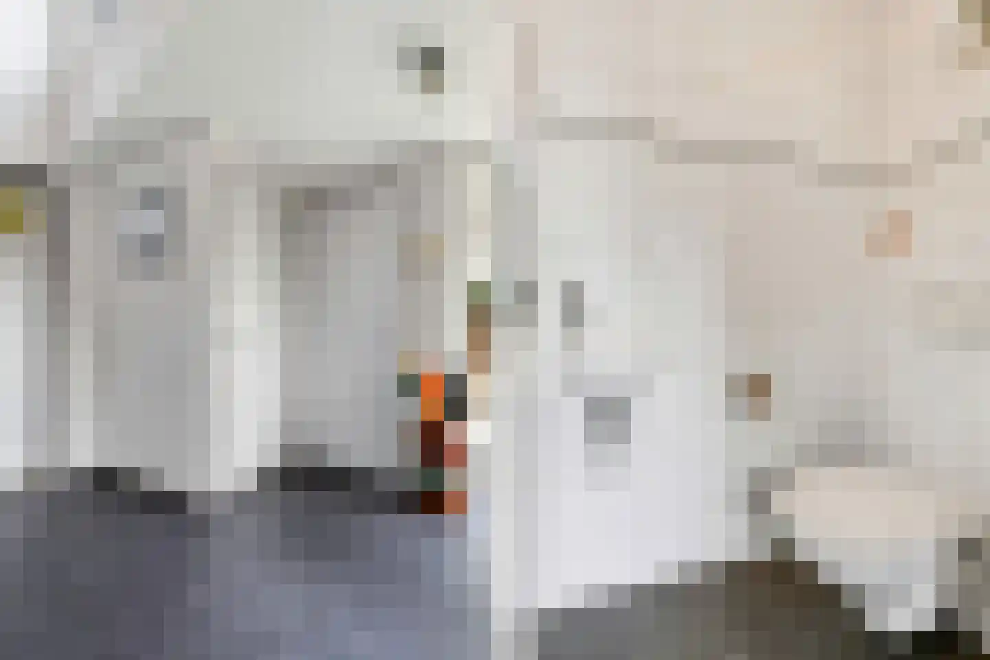 Ebbenerve 21 Oosterwolde Gld thumbnail 11